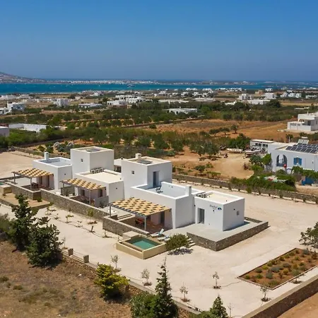 Bluebell Sunrise * Пунда