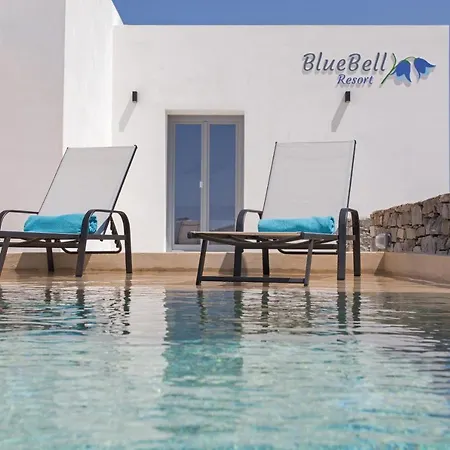 Bluebell Sunrise * Пунда