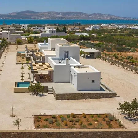 Bluebell Sunrise * Пунда