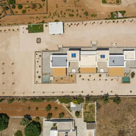 Bluebell Sunrise * Пунда